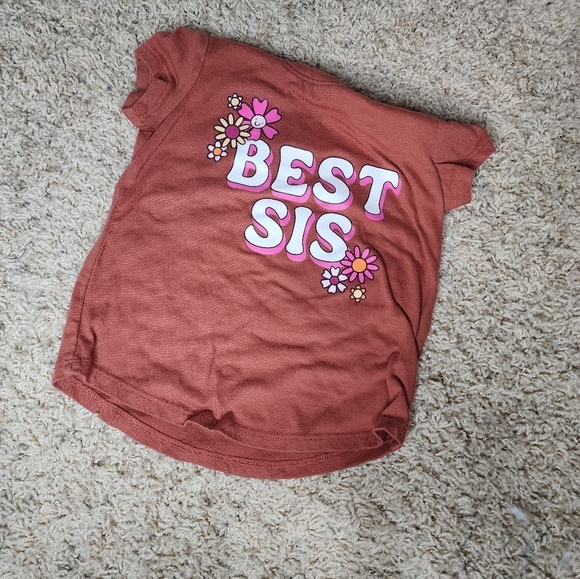 1 Box of 19 Toddler Girls Size 2T Items Mixed - Picture 2 of 16